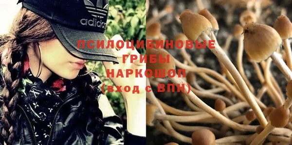 кокс Алексеевка