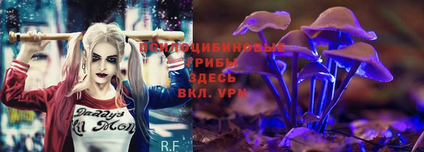 экстази Покачи