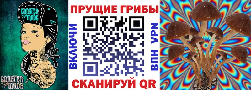 кракен как войти  Осташков  Галлюциногенные грибы MAGIC MUSHROOMS 