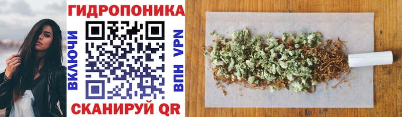 Шишки марихуана сатива  наркота  Осташков 